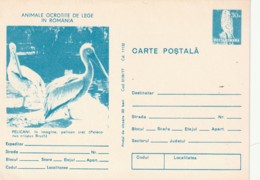 ROUMANIE - ENTIER POSTAL - OISEAUX - - Pélicans