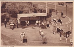 BOURNEMOUTH : BOSCOMBE - THE PONIES - Bournemouth (hasta 1972)