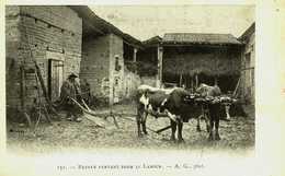 63...PUY DE DOME....AUVERGNE...PAYSAN PARTANT POUR LE LABOUR - Auvergne Types D'Auvergne