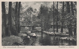 AK Spreewald Lehde Kahn Fließ A Burg Leipe Werben Raddusch Vetschau Guhrow Briesen Zauche Lübbenau Lübben Cottbus - Burg (Spreewald)