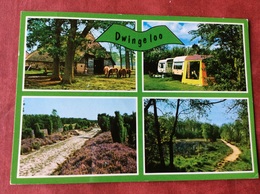 Nederland Dwingeloo. Drenthe ( Caravan Paard ) - Dwingeloo