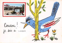 Limoux - Coucou Je Suis à... - Oiseau - Pont - Limoux