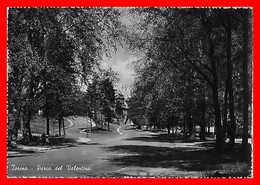 CPSM/gf TORINO (Italie)   Parco Del Valentino...I0010 - Parcs & Jardins