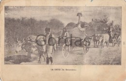 Moldova - Bessarabia - La Cruce - Car Cu Boi - Ox Carriage - Moldavia