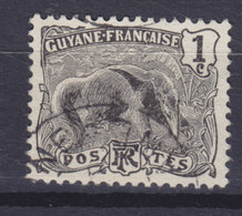 French Guiana 1904 Mi. 49     1c. Grosser Ameisenbär, Used - Used Stamps