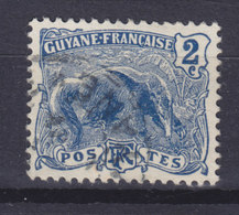 French Guiana 1904 Mi. 50     2c. Grosser Ameisenbär, Used - Gebruikt