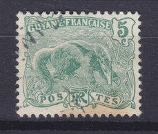 French Guiana 1904 Mi. 52     5c. Grosser Ameisenbär, Used - Gebraucht