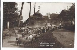 SUISSE MOUTONS Abfahrt Der Schafe Départ Pour L'Alpe - PERROCHET & DAVID, La Chaux-de-Fonds Lausanne N05848 - La Chaux