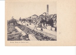 Old Pc Burma Elephant Timber Yard - Myanmar (Birma)