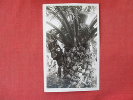 RPPC  Ned Indie Cancel   Man With  Ax Chopping  Fruit  Ref. 3083 - Azië