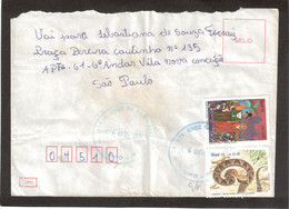 E43 - BRESIL - Enveloppe De SANTA CRUZ DA BAIXA VERDE 4.11.1991 Pour SAO PAULO - ( Froissures) - Lettres & Documents