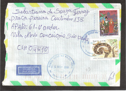 E43 - BRESIL - Enveloppe De SANTA CRUZ DA BAIXA VERDE 6.11.1991 Pour SAO PAULO - - Lettres & Documents