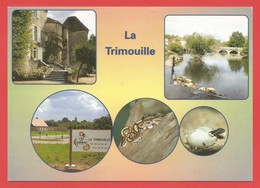 C.P.M.  (86 )  " LA TRIMOUILLE "  Château De La Rivière,le Port,le Vivarium ( Multivues ) -Voir 2 Photos - La Trimouille