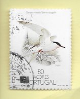 TIMBRES - STAMPS - SELLOS - PORTUGAL (AÇORES)-1988- OISEAUX -  Sterna Dougallii - TIMBRE OBLITÉRÉ CLÔTURE DE SÉRIE - Golondrinas