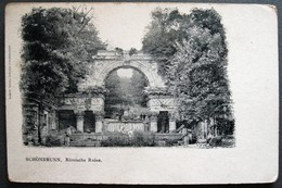 SCHONBRUNN - ROMISCHE RUINE - Schönbrunn Palace