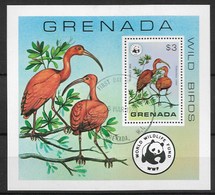 GRENADA 1978 WWF, BIRDS Used - Gebruikt