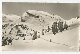 38 Isère - Villard De Lans Vues Des Pistes De Cote 2000 Le Clot D'apre Le Gerbier Et Pas De L'oeil Ed Photedit Grenoble - Villard-de-Lans