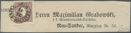 Österreich: 1859, (1,05 Kreuzer) Tiefdunkellila Zeitungsmarke, Type II, Farbfrisch, Allseits Breit- - Sonstige & Ohne Zuordnung