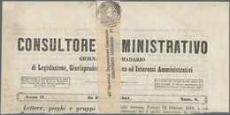 Österreich: 1859, (1,05 Kreuzer/Soldi) Grauviolett Zeitungsmarke, Type II, Farbfrisch, Voll- Bis übe - Other & Unclassified