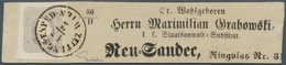 Österreich: 1861, (1,05 Kreuzer) Grauviolett Zeitungsmarke, Prägefrisch, Allseits Voll- Bis überrand - Sonstige & Ohne Zuordnung