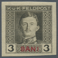 Österreichisch-Ungarische Feldpost - Rumänien: 1917, Siebzehn UNGEZÄHNTE Marken Kaiser Karl 1 H Bis - Other & Unclassified