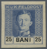 Österreichisch-Ungarische Feldpost - Rumänien: 1918, Kaiser Karl 3 Bani Bis 4 Lei Kompletter UNGEZÄH - Sonstige & Ohne Zuordnung