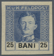 Österreichisch-Ungarische Feldpost - Rumänien: 1918, Kaiser Karl 3 Bani Bis 4 Lei Kompletter UNGEZÄH - Autres & Non Classés