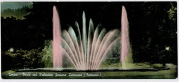 MAXICARD  8,8X20,8    TORINO  PARCO  DEL  VALENTINO   FONTANA  LUMINOSA     NOTTURNO           (VIAGGIATA) - Parcs & Jardins