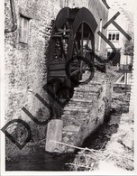 Zaventem Molen/Moulin Foto E59 - Zaventem