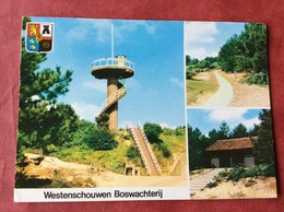 Nederland. Pays-Bas. Holland. Westenschouwen. Burg-Haamstede. Boswachterij - Renesse