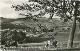 St. Peter - Foto-AK 60er Jahre - Verlag Werner Tuttlingen - St. Peter