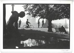 Lazio Roma Belvedere Al Pincio Villa Borghese 1985 Non Viaggiata Condizioni Come Da Scansione - Parcs & Jardins