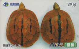 Télécarte Chine Tietong - Animal - TORTUE - TURTLE Phonecard - SCHILDKRÖTE Telefonkarte - 102 - Schildpadden