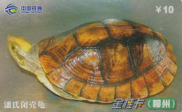 Télécarte Chine Tietong - Animal - TORTUE - TURTLE Phonecard - SCHILDKRÖTE Telefonkarte - 103 - Tortugas