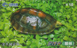 Télécarte Chine Tietong - Animal - TORTUE - TURTLE Phonecard - SCHILDKRÖTE Telefonkarte - 104 - Turtles