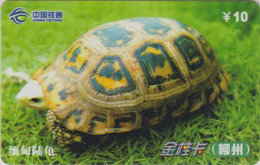 Télécarte Chine Tietong - Animal - TORTUE - TURTLE Phonecard - SCHILDKRÖTE Telefonkarte - 105 - Tortugas