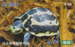 Télécarte Chine Tietong - Animal - TORTUE - TURTLE Phonecard - SCHILDKRÖTE Telefonkarte - 106 - Schildkröten