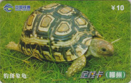 Télécarte Chine Tietong - Animal - TORTUE - TURTLE Phonecard - SCHILDKRÖTE Telefonkarte - 108 - Tortugas