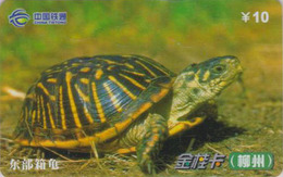 Télécarte Chine Tietong - Animal - TORTUE - TURTLE Phonecard - SCHILDKRÖTE Telefonkarte - 110 - Schildpadden