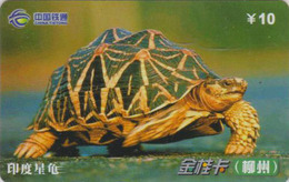 Télécarte Chine Tietong - Animal - TORTUE - TURTLE Phonecard - SCHILDKRÖTE Telefonkarte - 111 - Schildpadden
