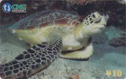 Télécarte NEUVE Chine CNC - Animal - TORTUE - TURTLE MINT Phonecard - SCHILDKRÖTE TK - 112 - Tortues