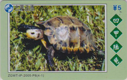 Télécarte Chine Satcom - Animal - TORTUE 4/1 - TURTLE Phonecard - SCHILDKRÖTE TK - 114 - Schildkröten