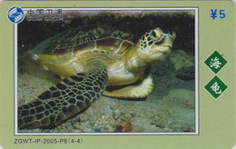 Télécarte Chine Satcom - Animal - TORTUE 4/4 - TURTLE Phonecard - SCHILDKRÖTE TK - 117 - Tortugas