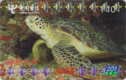 Télécarte China Telecom - Animal - TORTUE 2/4 - TURTLE Phonecard - SCHILDKRÖTE TK - 119 - Turtles