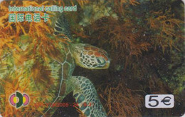 Télécarte Animal - TORTUE 8/3 - TURTLE Phonecard - SCHILDKRÖTE Telefonkarte - 132 - Schildkröten
