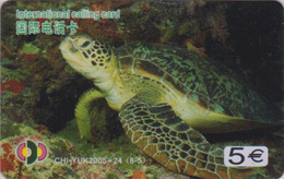 Télécarte Animal - TORTUE 8/5 - TURTLE Phonecard - SCHILDKRÖTE Telefonkarte - 134 - Schildkröten