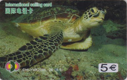 Télécarte Animal - TORTUE 8/6 - TURTLE Phonecard - SCHILDKRÖTE Telefonkarte - 135 - Schildkröten