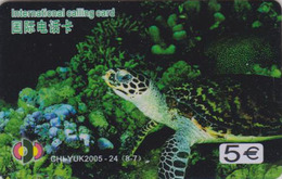 Télécarte Animal - TORTUE 8/7 - TURTLE Phonecard - SCHILDKRÖTE Telefonkarte - 136 - Tortues