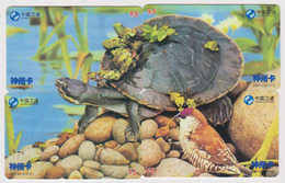 PUZZLE De 4 Télécartes De Chine - Animal - TURTLE Phonecards - SCHILDKRÖTE - 140 - Puzzles