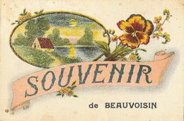 Souvenir De Beauvoisin (Gard? Drôme?) - Edition M.G.A. - Carte Fantaisie Toilée 1931 - Souvenir De...